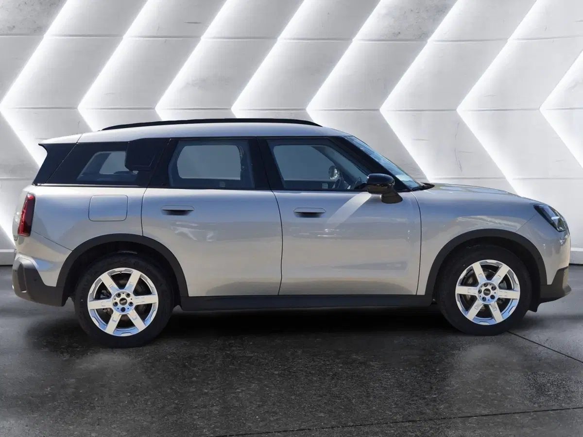 MINI Mini Countryman usata  (5)