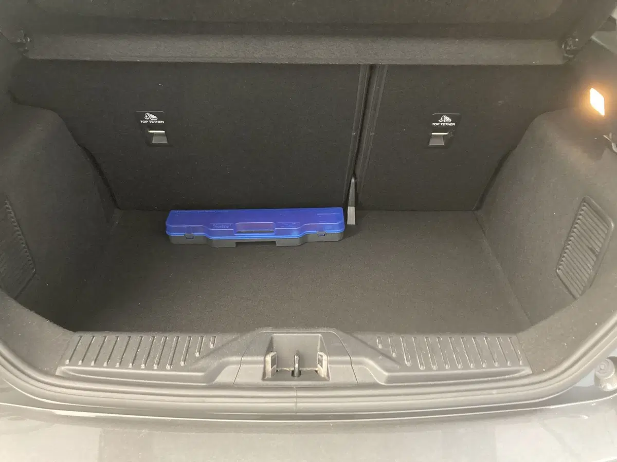 Ford Fiesta usata a Pavia (19)