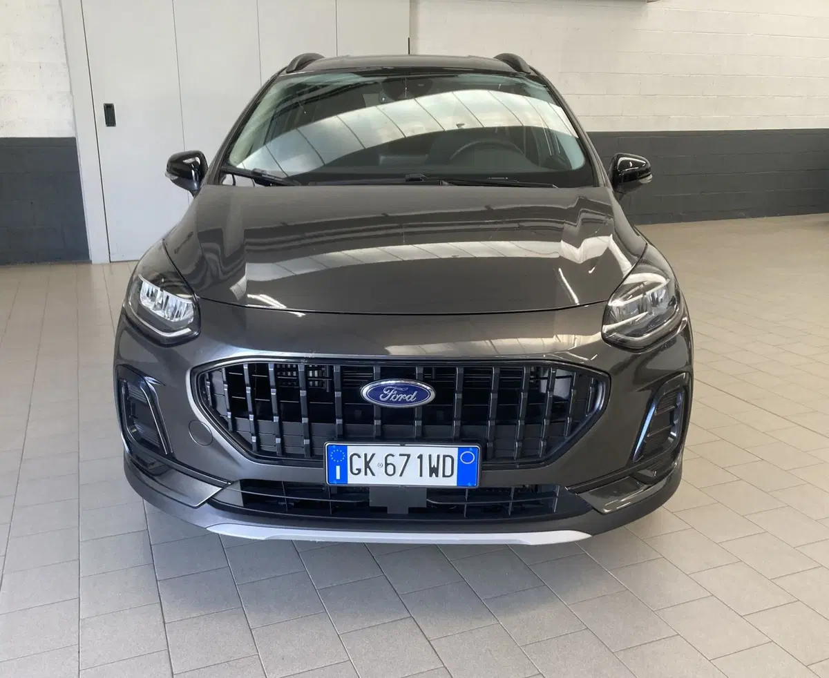 Ford Fiesta usata a Pavia (5)