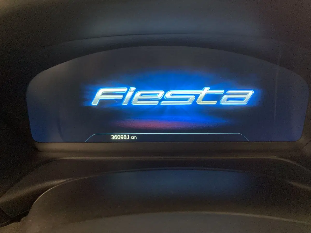Ford Fiesta usata a Pavia (9)