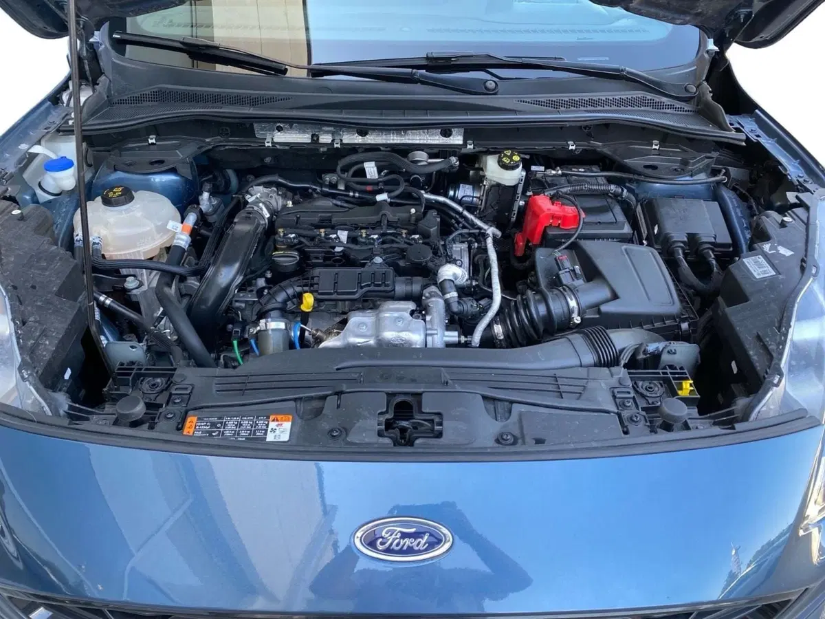 Ford Kuga usata a Bologna (12)