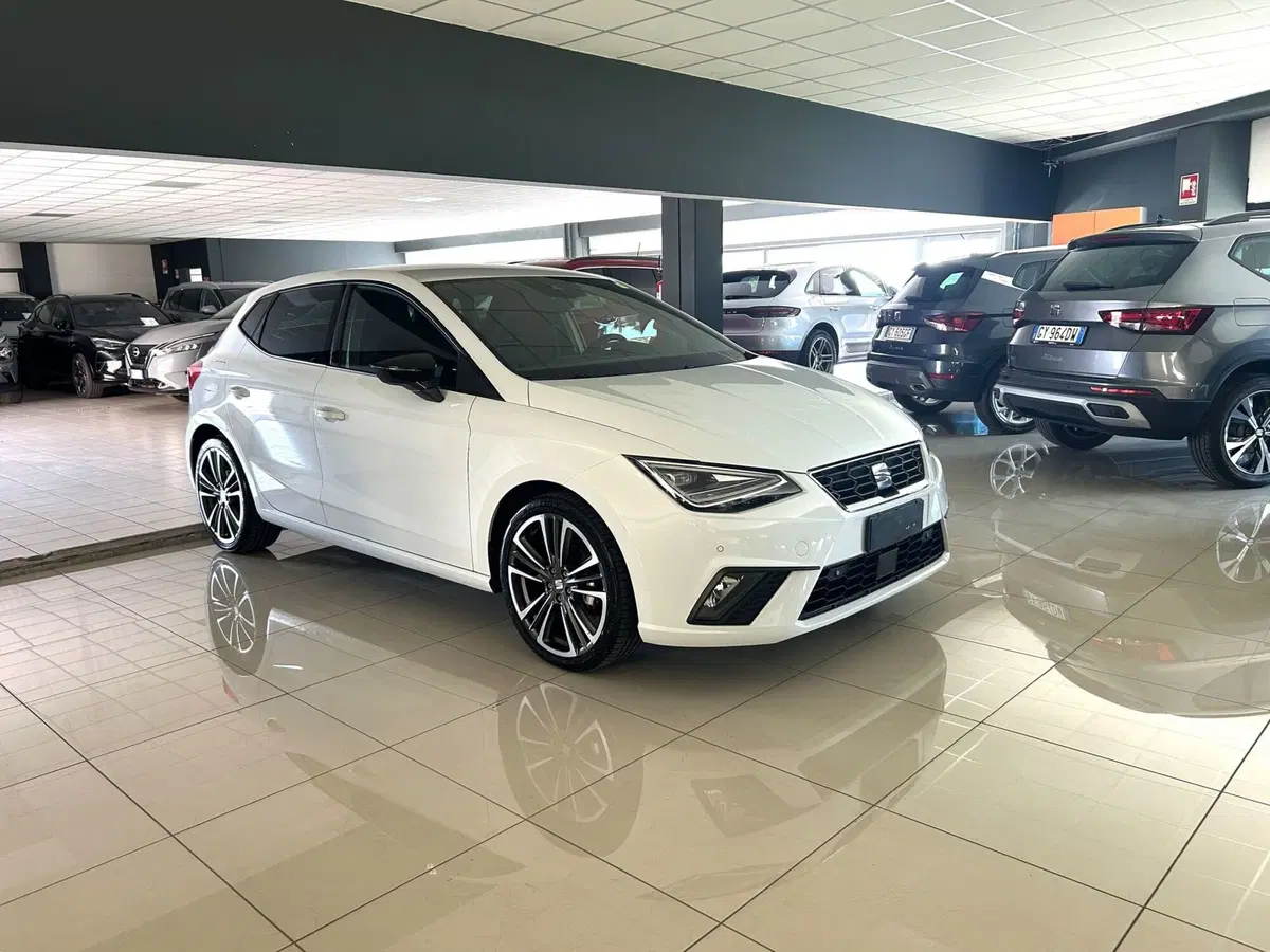 SEAT Ibiza usata a Ferrara (3)