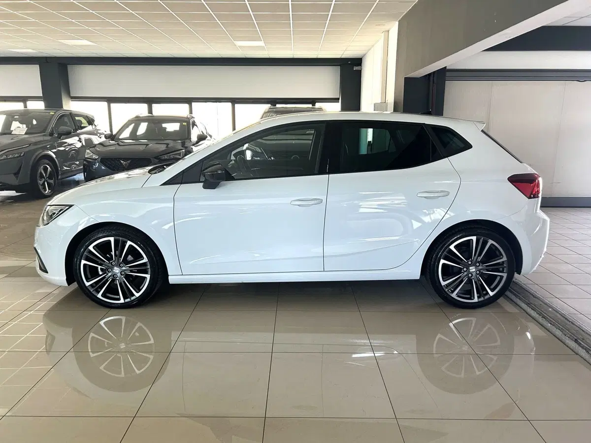SEAT Ibiza usata a Ferrara (6)