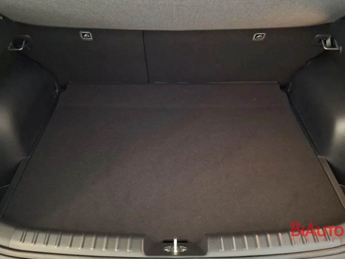 Kia Niro usata a Firenze (5)