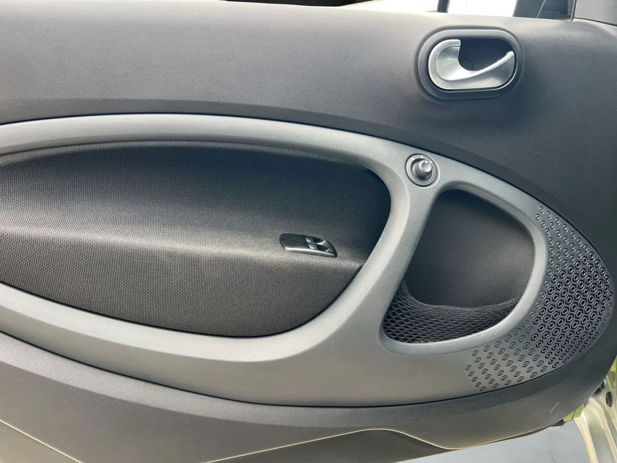 smart forfour usata a Cosenza (12)