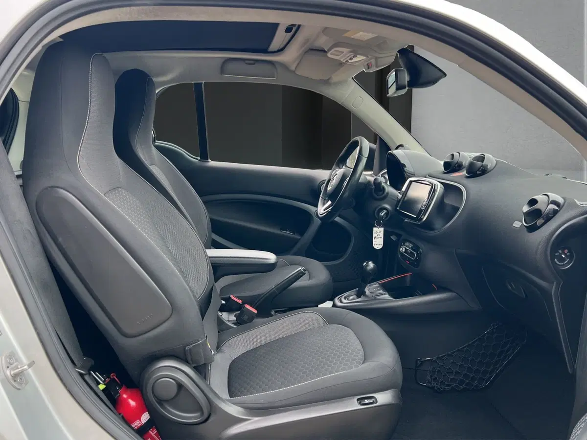 smart forfour usata a Cosenza (17)