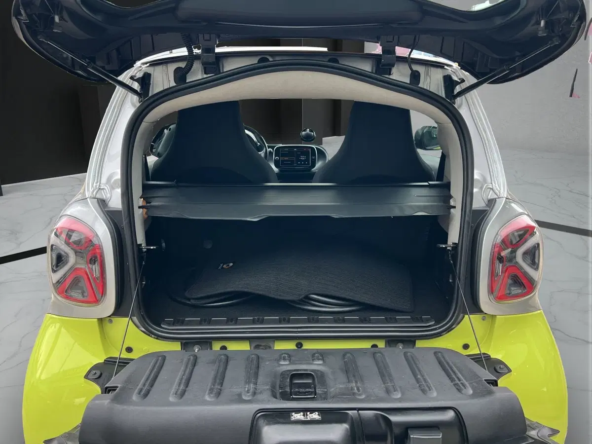 smart forfour usata a Cosenza (18)