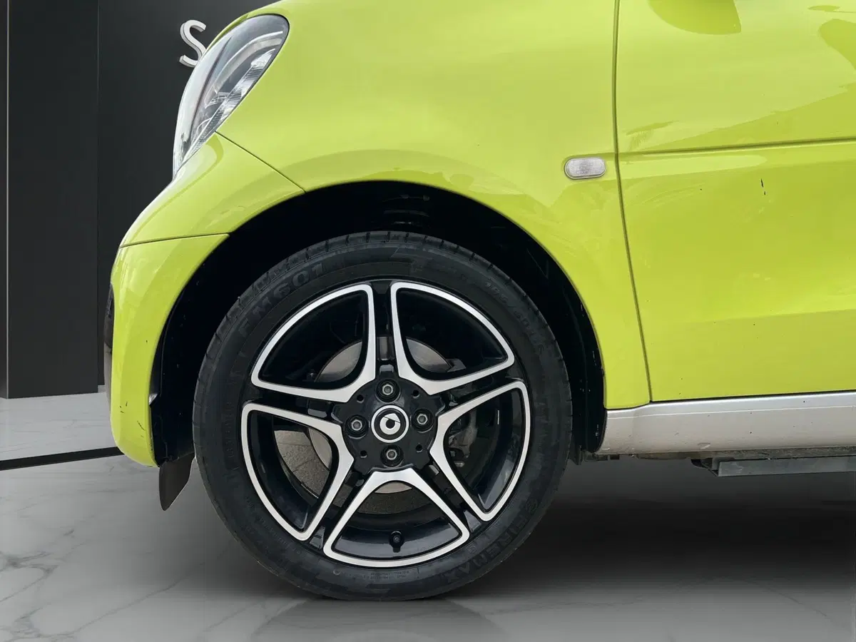 smart forfour usata a Cosenza (19)