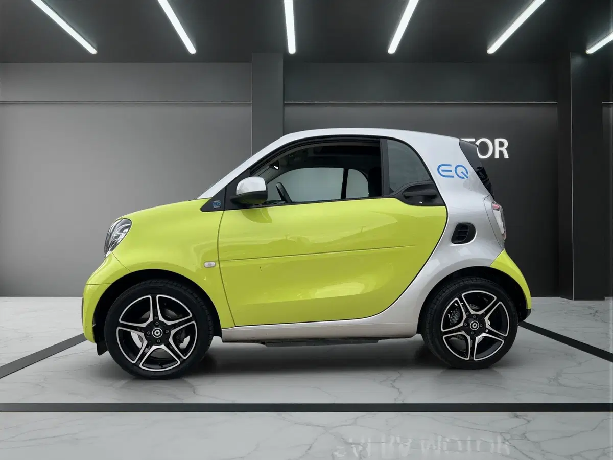 smart forfour usata a Cosenza (3)