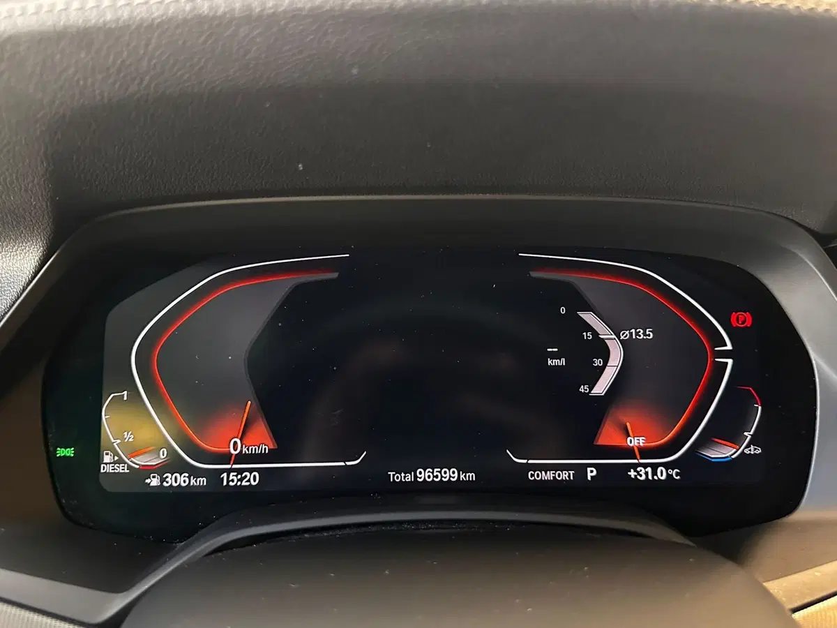 BMW X5 usata a Cuneo (15)