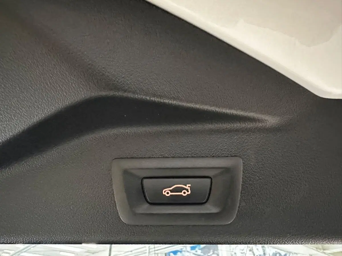 BMW X5 usata a Cuneo (19)
