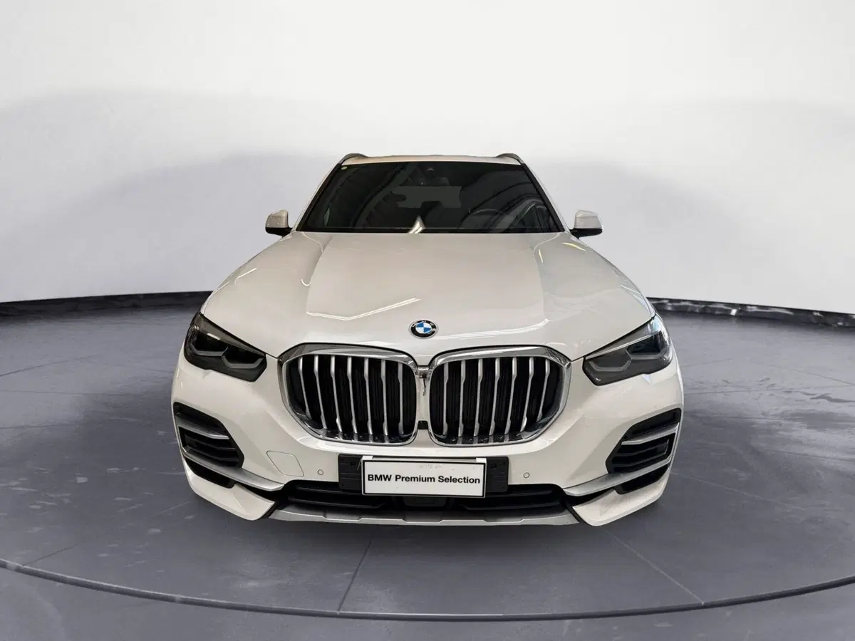 BMW X5 usata a Cuneo (3)