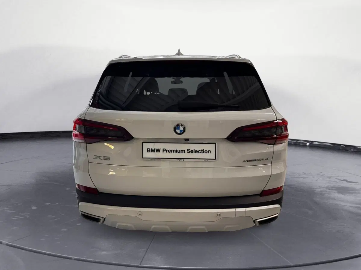 BMW X5 usata a Cuneo (4)
