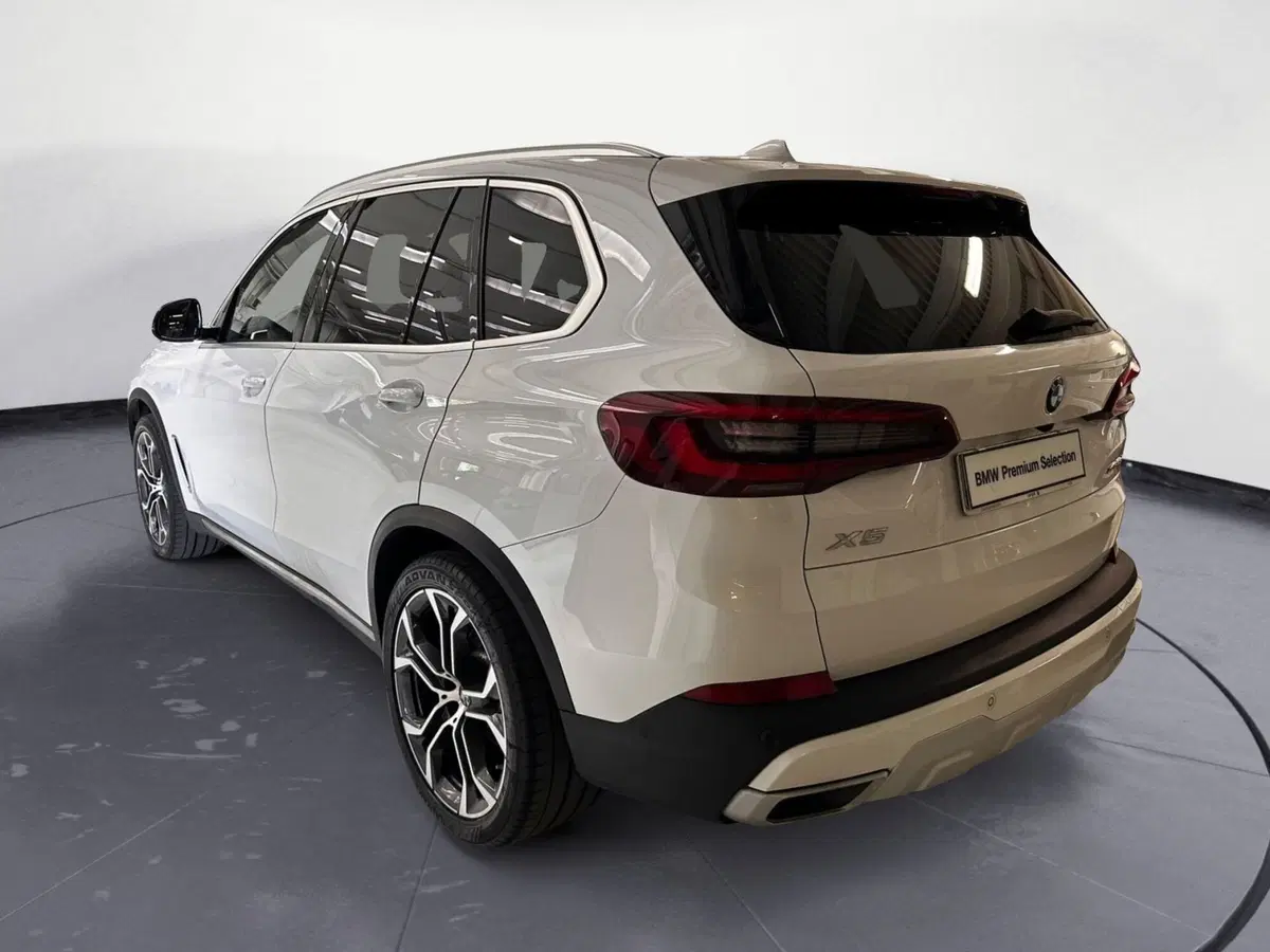 BMW X5 usata a Cuneo (5)