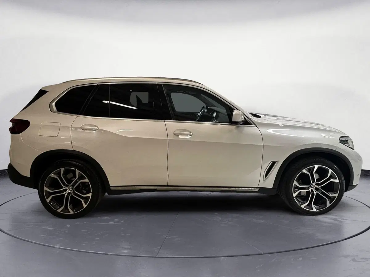 BMW X5 usata a Cuneo (6)