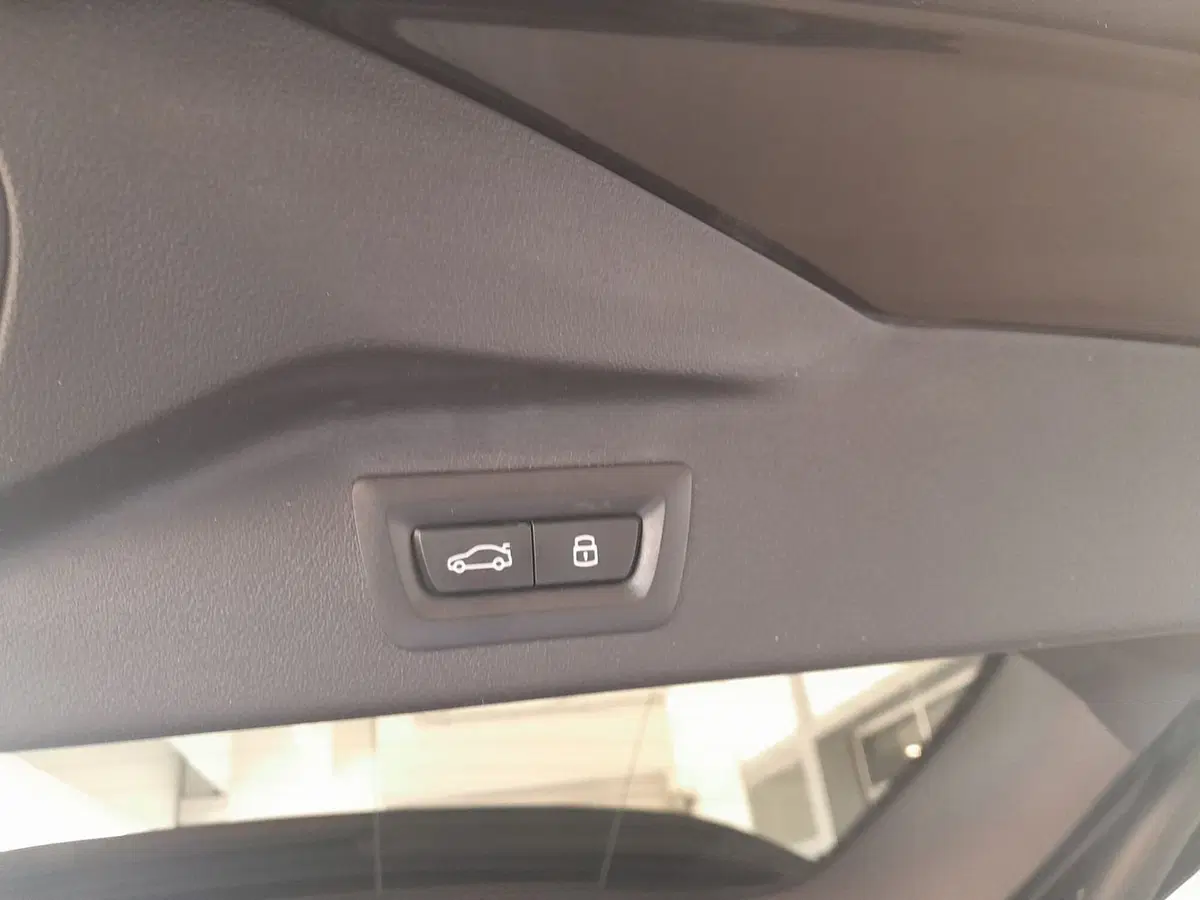 BMW X7 usata a Asti (13)