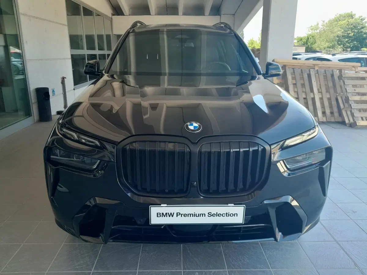 BMW X7 usata a Asti (3)