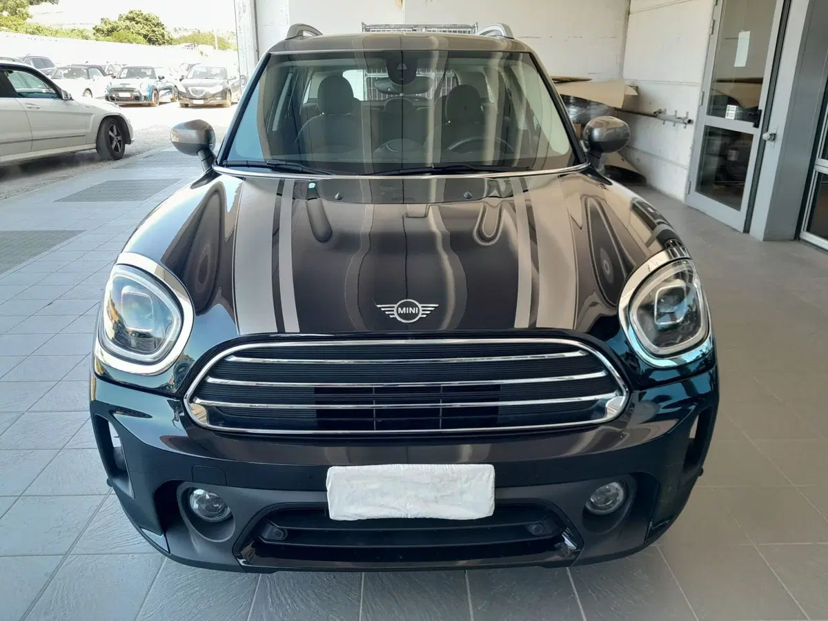 MINI Mini Countryman usata a Asti (3)