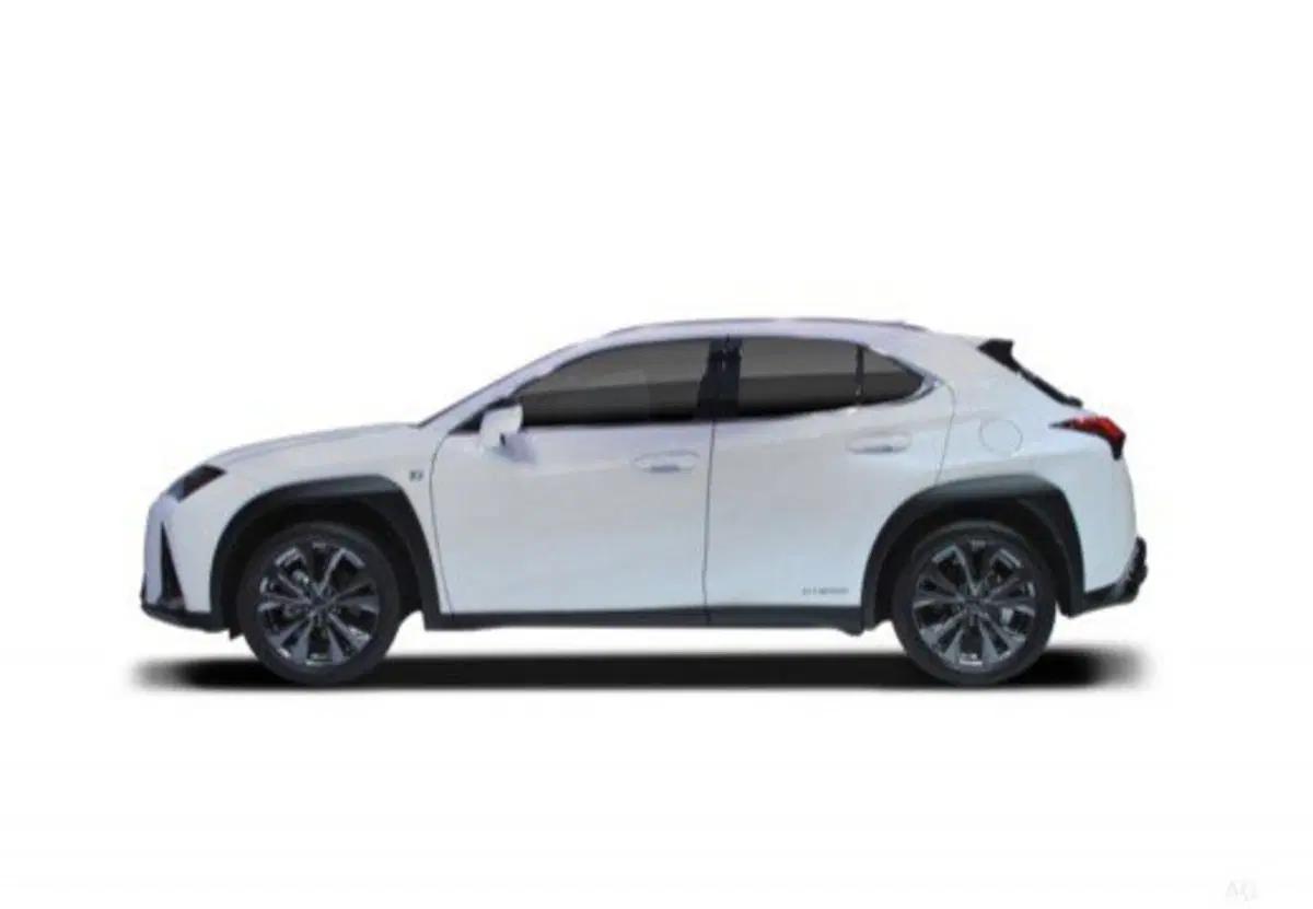 Lexus UX usata a Palermo (10)