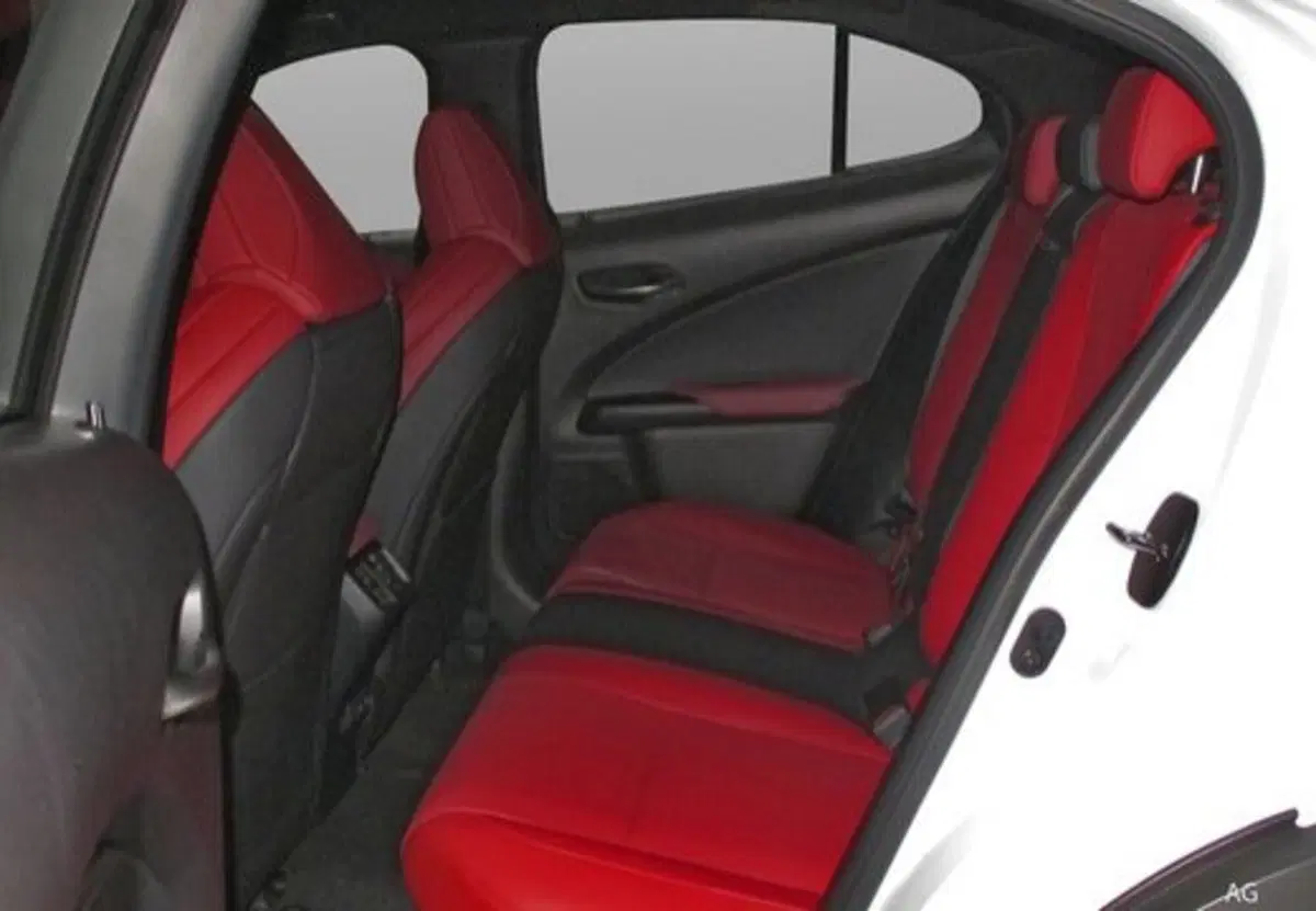 Lexus UX usata a Palermo (11)