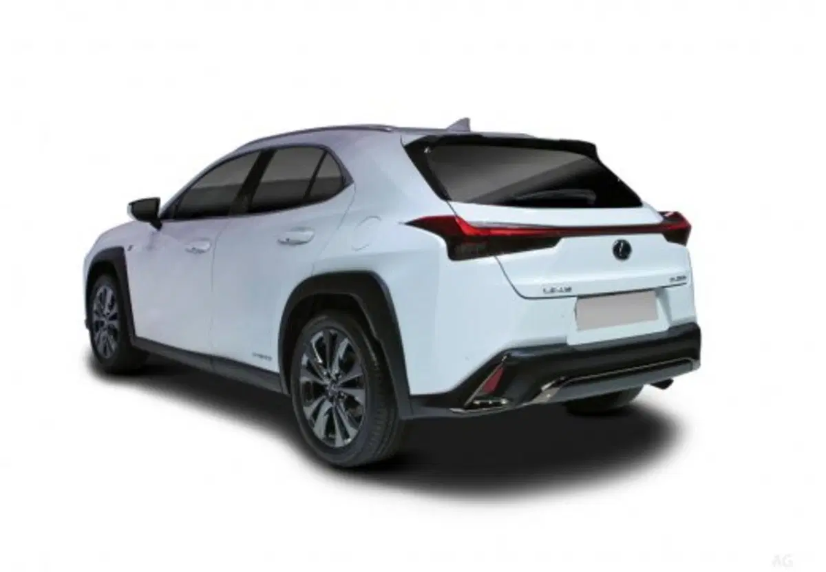 Lexus UX usata a Palermo (12)