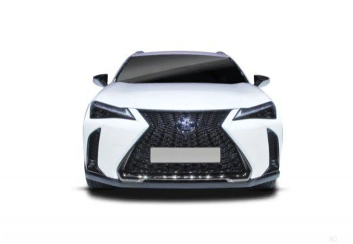 Lexus UX usata a Palermo (13)