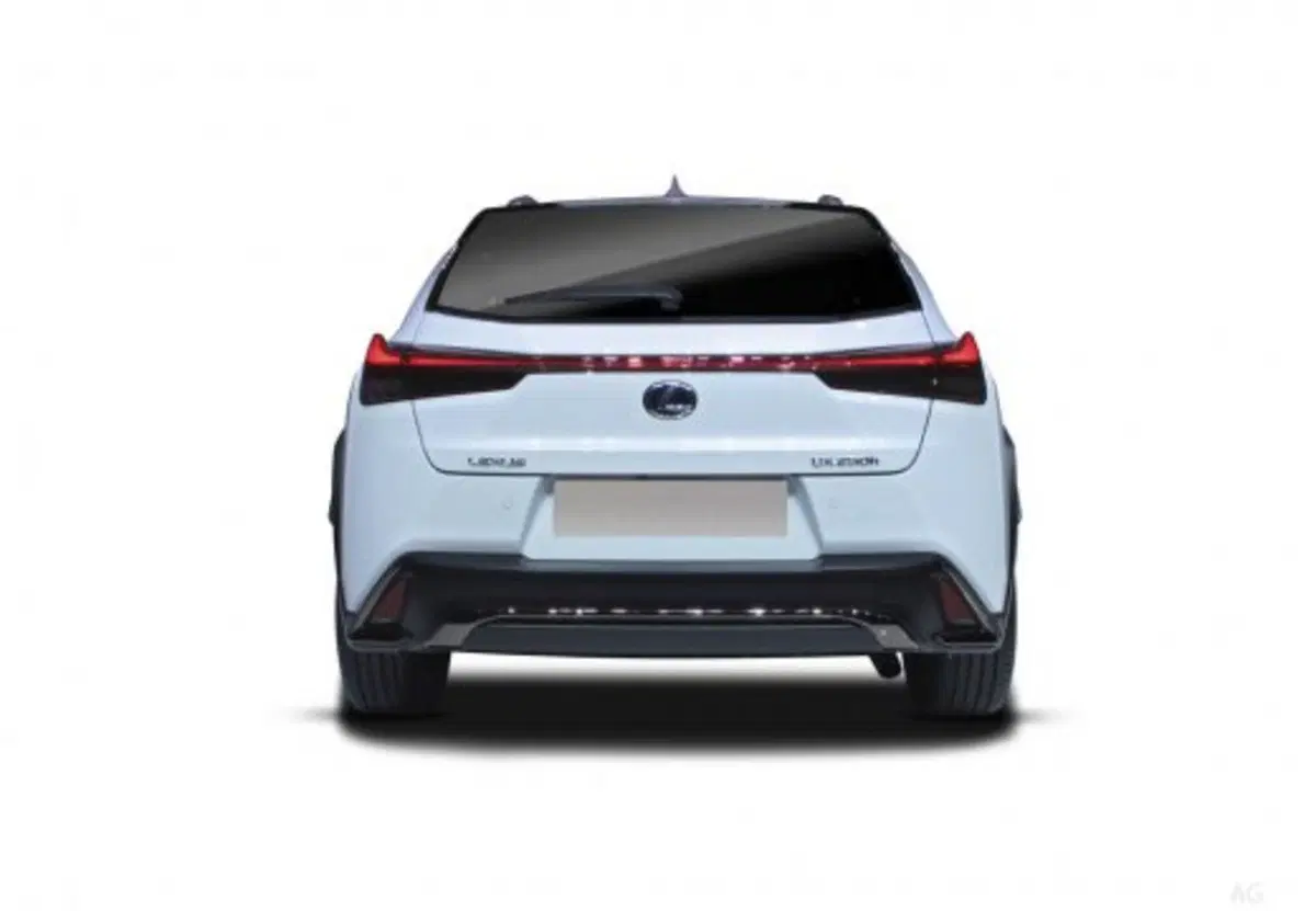Lexus UX usata a Palermo (14)