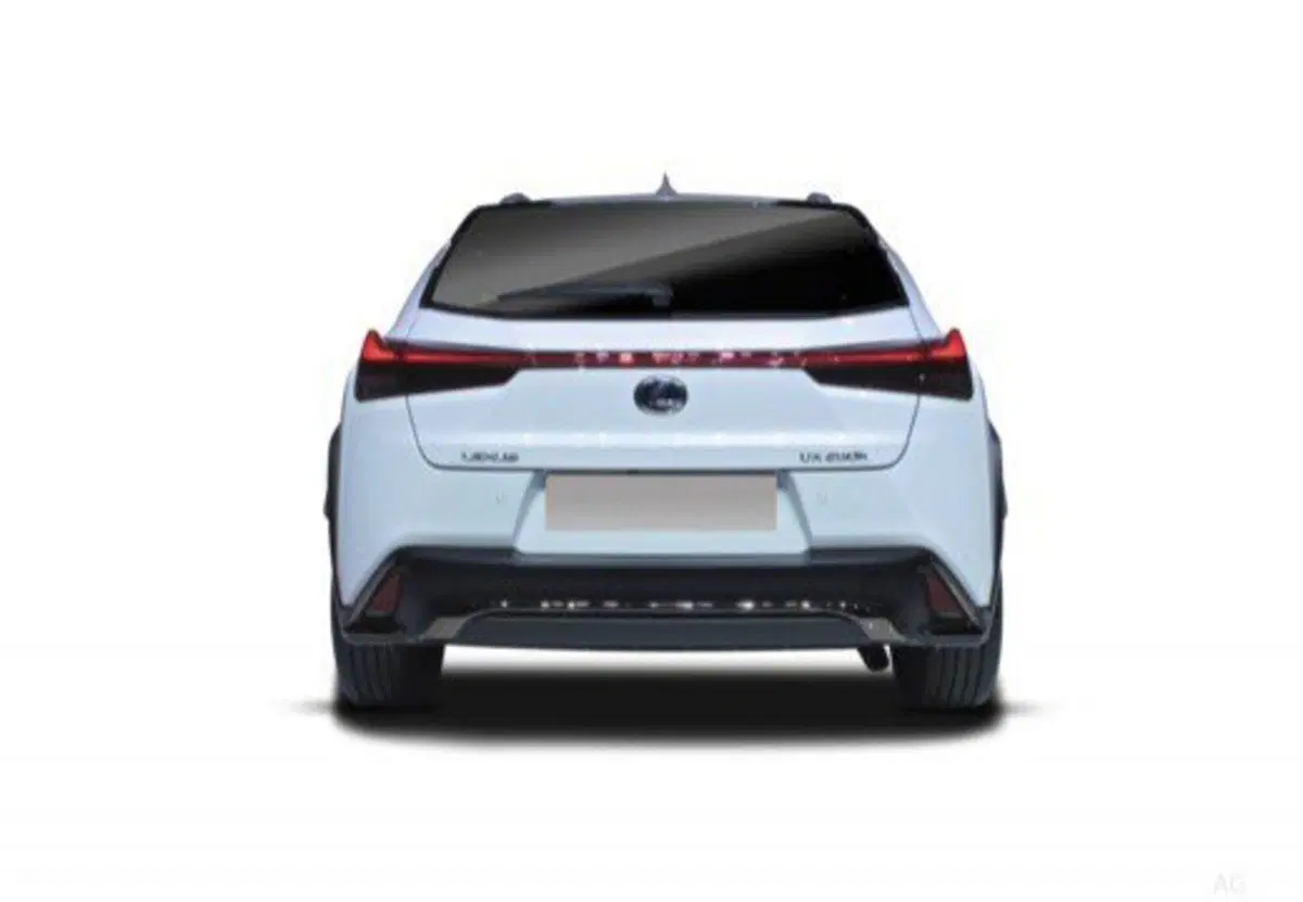 Lexus UX usata a Palermo (15)