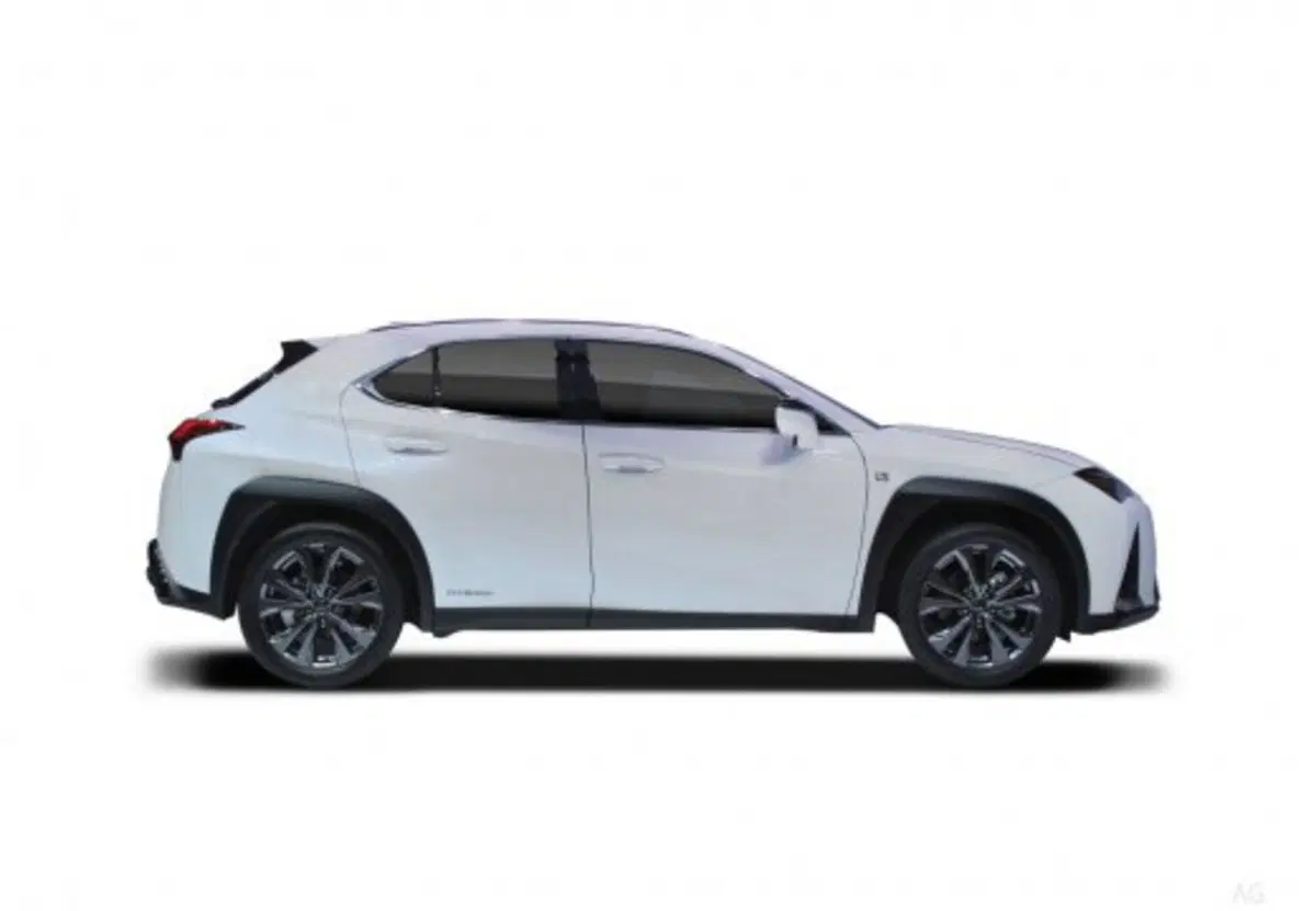 Lexus UX usata a Palermo (16)