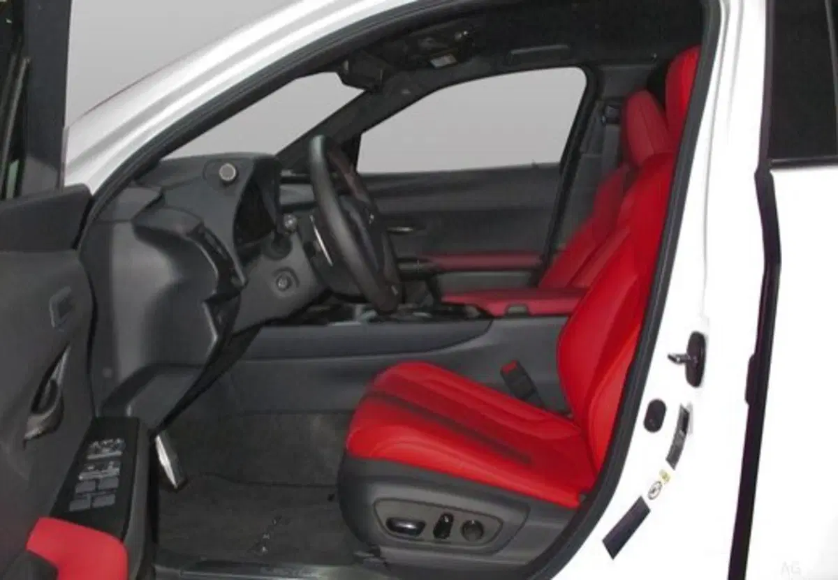 Lexus UX usata a Palermo (17)