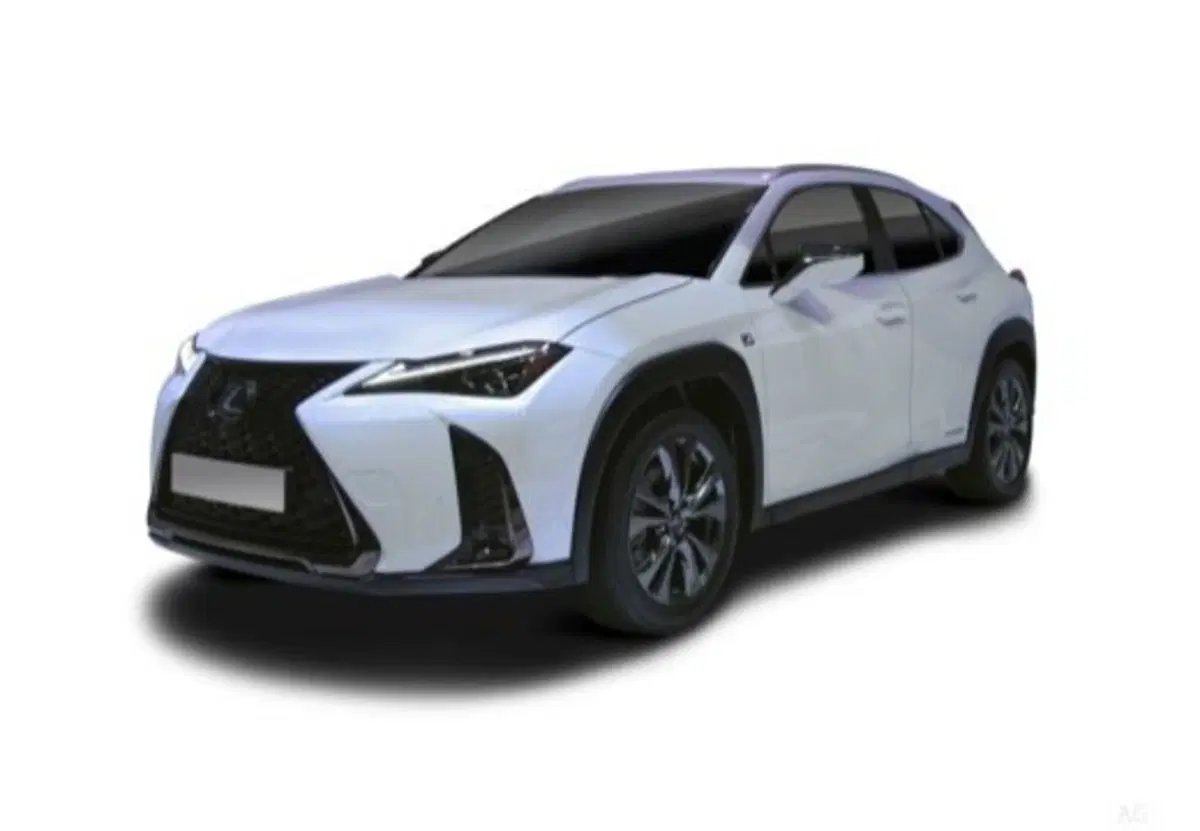 Lexus UX usata a Palermo (19)