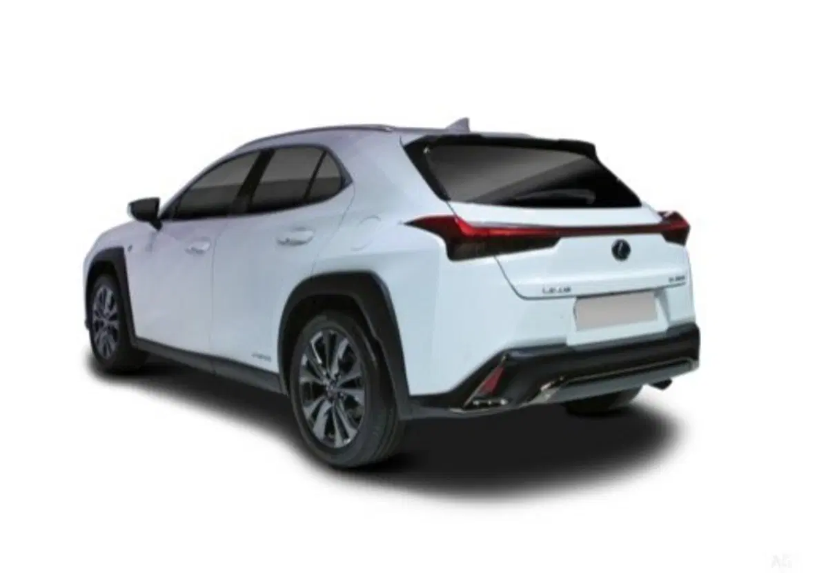 Lexus UX usata a Palermo (20)