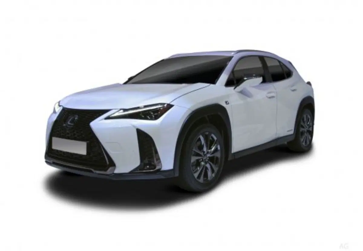 Lexus UX usata a Palermo (6)