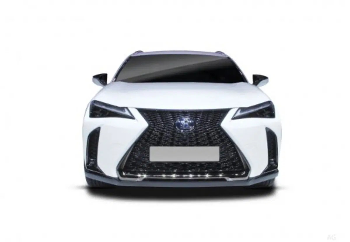 Lexus UX usata a Palermo (9)