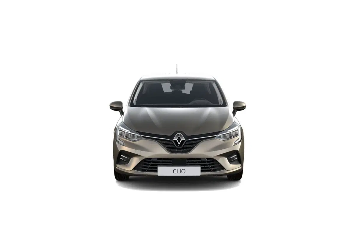 Renault Clio usata a Palermo (2)