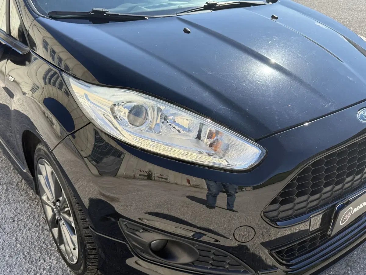 Ford Fiesta usata a Perugia (12)