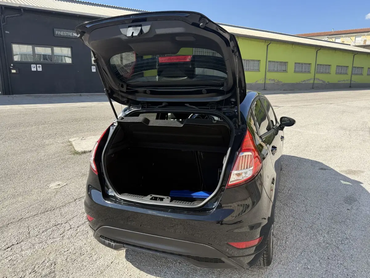 Ford Fiesta usata a Perugia (14)