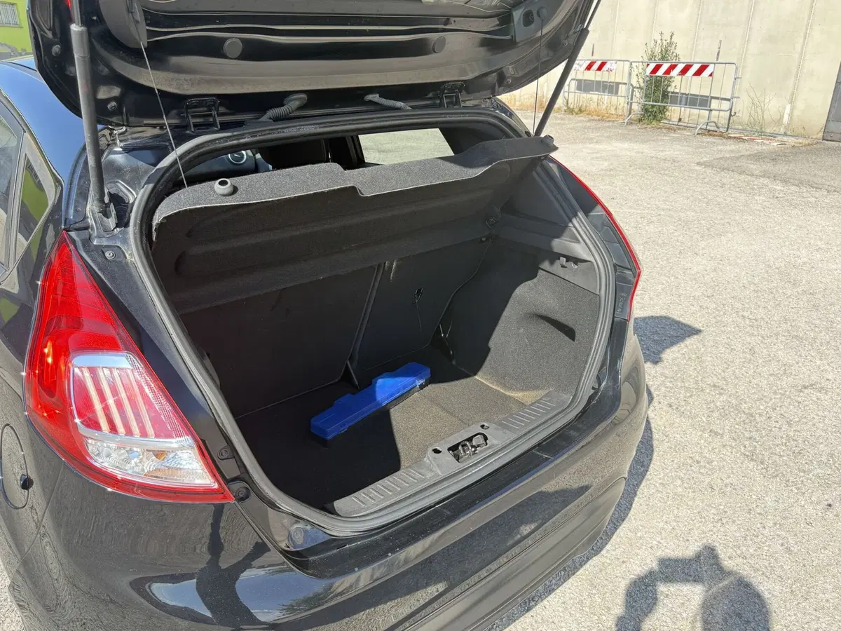 Ford Fiesta usata a Perugia (15)