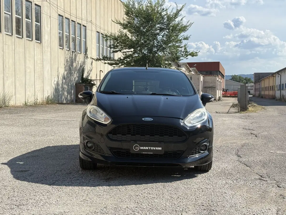 Ford Fiesta usata a Perugia (2)