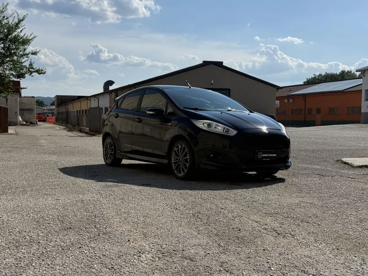Ford Fiesta usata a Perugia (8)