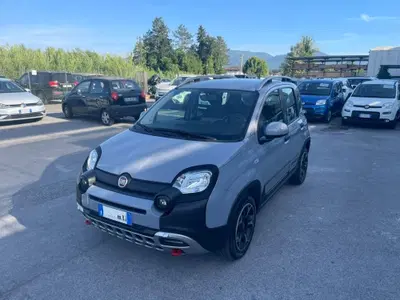 Fiat Panda Cross Cross 1.0 FireFly S&amp;S Hybrid del 2022 usata a Lucca