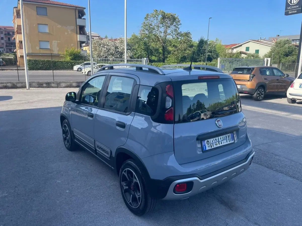 Fiat Panda Cross usata a Lucca (3)