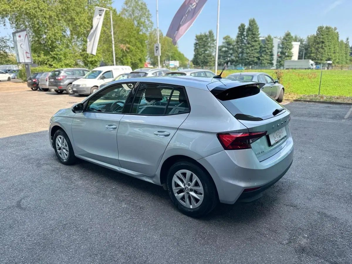 Skoda Fabia usata a Monza e Brianza (2)
