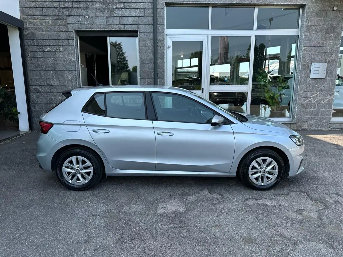Skoda Fabia usata a Monza e Brianza (5)