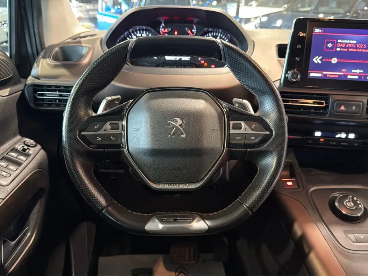 Peugeot Rifter usata a Vicenza (18)
