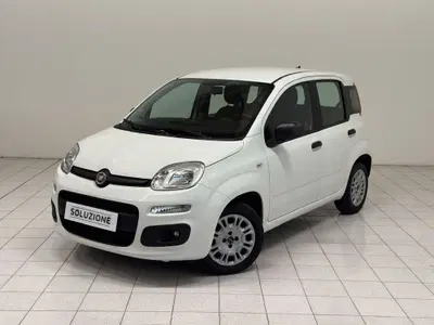 Fiat Panda 1.2 EasyPower del 2020 usata a Novara
