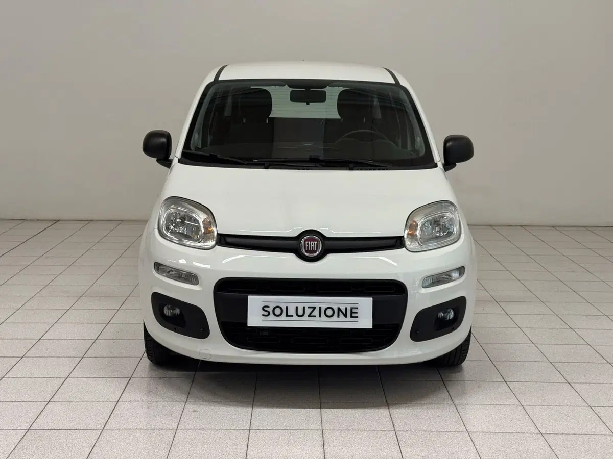 Fiat Panda usata a Novara (8)