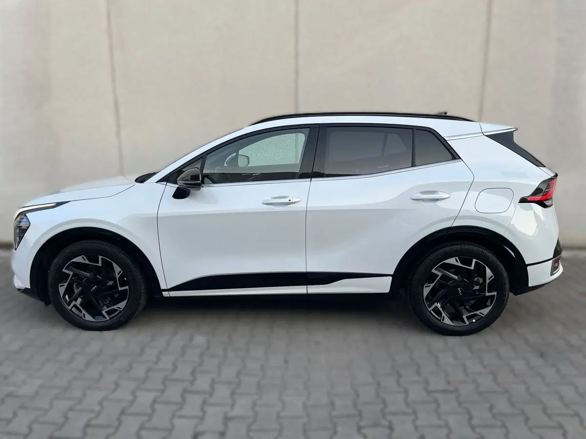 Kia Sportage usata a Ferrara (3)