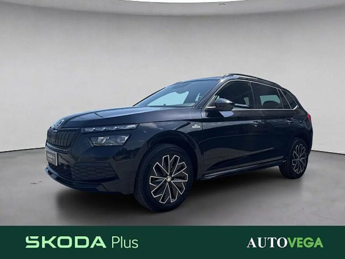 Skoda Kamiq usata a Vicenza