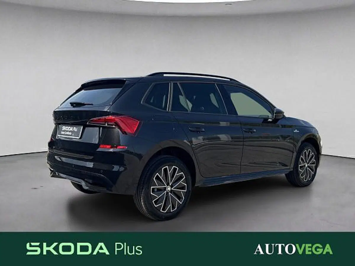 Skoda Kamiq usata a Vicenza (4)
